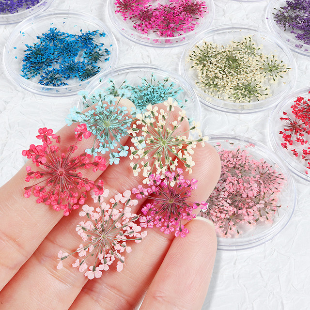10 Pcs Dry Flowers For Resin Flakes Epoxy Resin Molds Filler DIY Phone Case  Nail Art Decorations Real Flowers For Jewelry Making - AliExpress